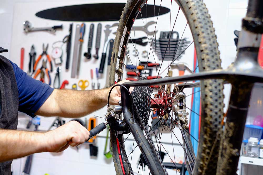 bike tune up
